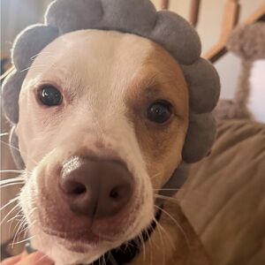 UnListing for live show only